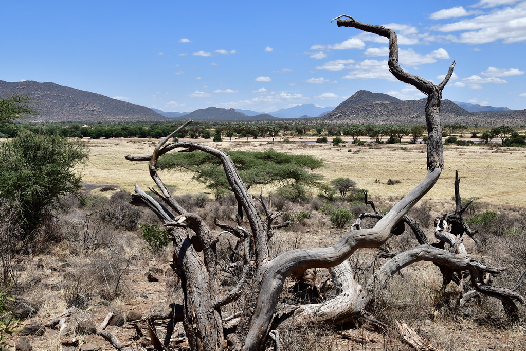Buffalo Springs Nat. Reserve